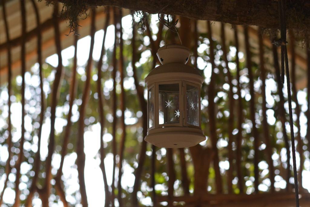 فندق يالا دريم بارك المظهر الخارجي الصورة